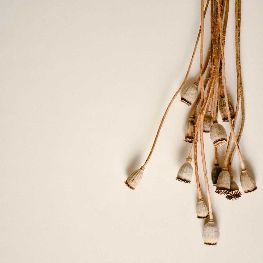 Victorious Depths Strong Abstract Sea&nbsp;Philosophy